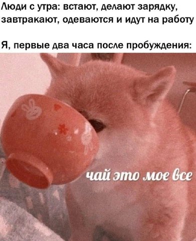 Люди с утра: встают, делают зарядку, завтракают, одеваются и идут на работу Я, первые два часа после пробуждения: чай это мое все к