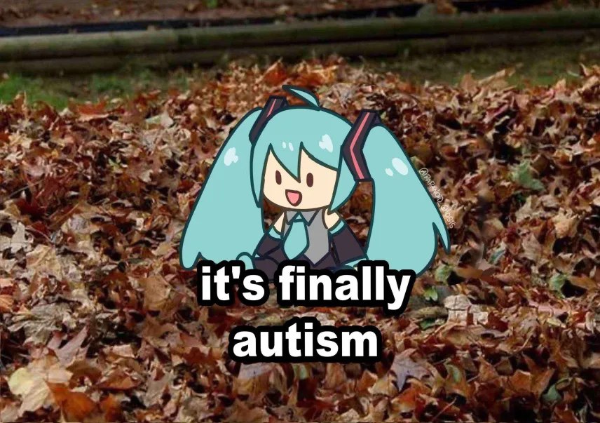 A 4 it's finally autism