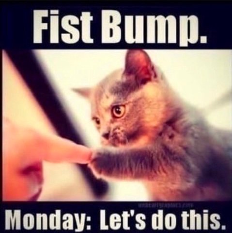 Fist Let's