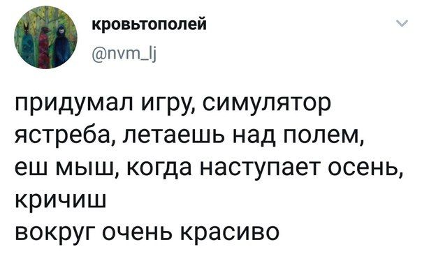 кровьтополей придумал игру, симулятор ястреба, летаешь над полем, мыш, когда наступает осень, кричиш вокруг очень красиво