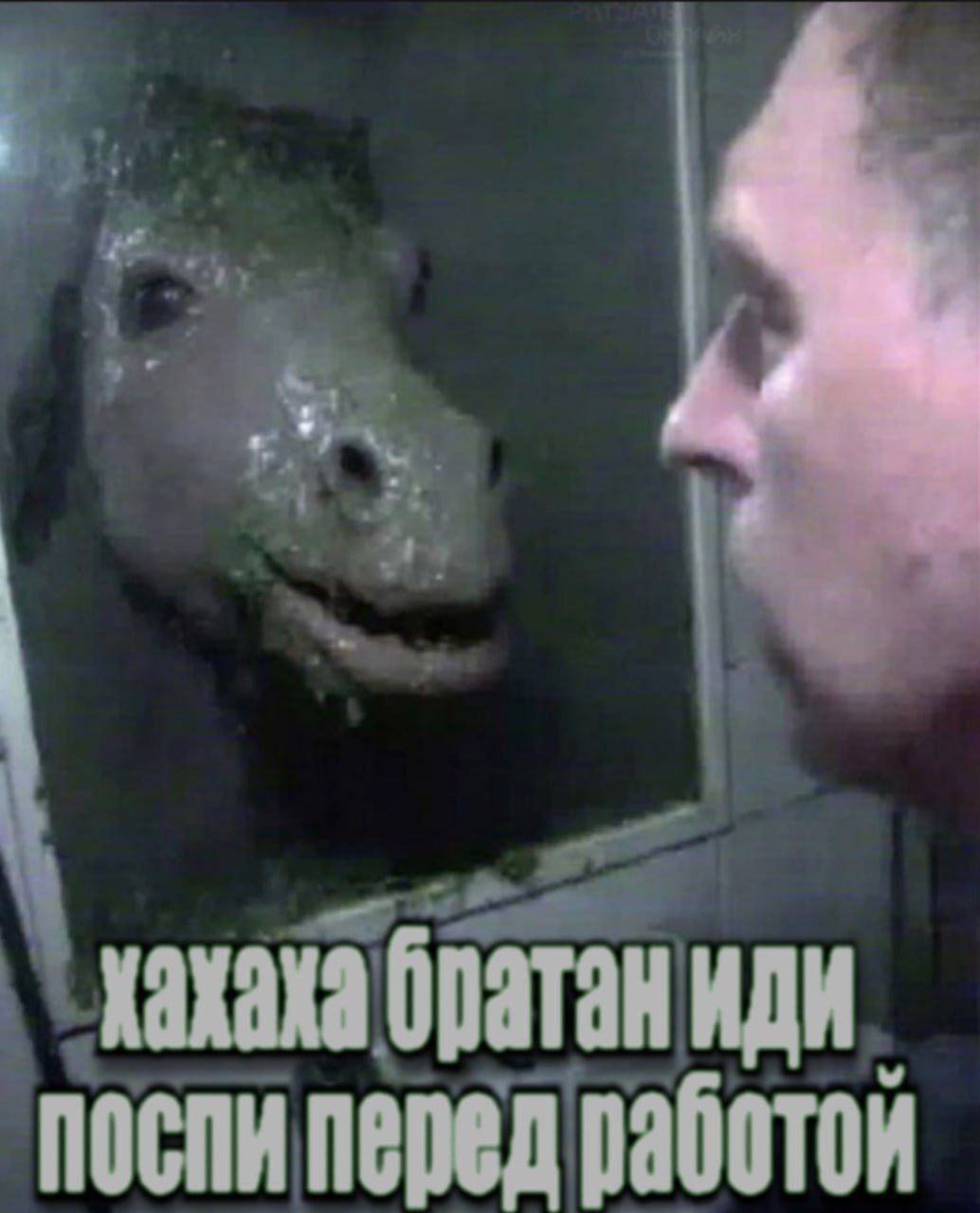 кахака поспи перед работой