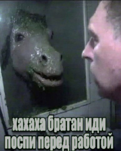 кахака поспи перед работой