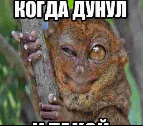 КОГДА ДУНУЛ