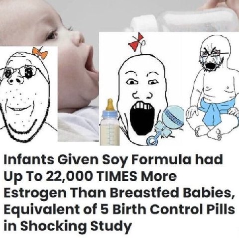 а a Infants Given Soy Formula had Up To 22,000 TIMES More Estrogen Than Breastfed Babies, Equivalent of 5 Birth Control Pills in Shocking Study