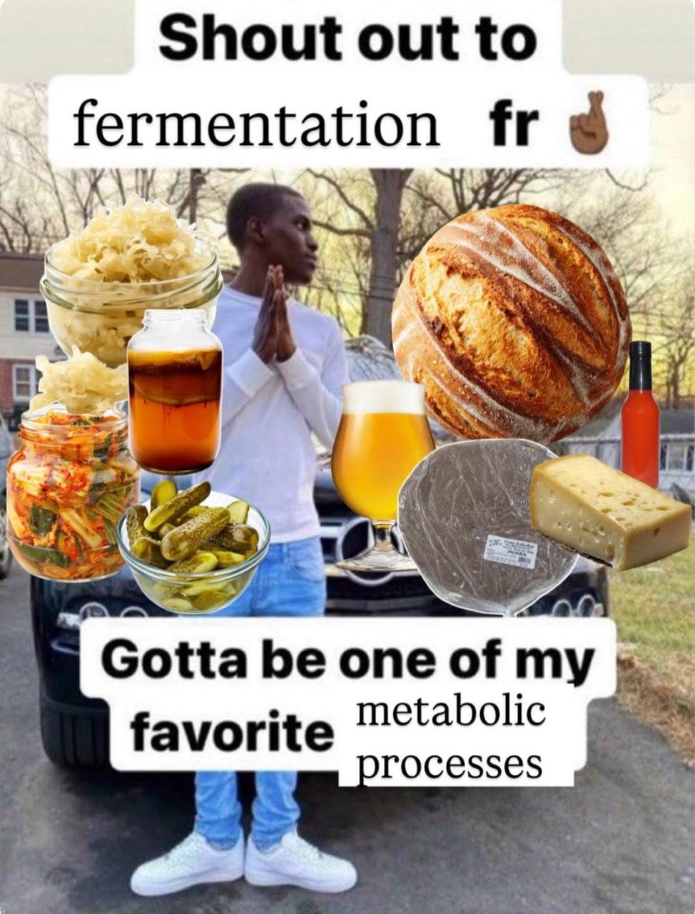 Shout out to fermentation К 4 Gotta be one of favorite metabolic