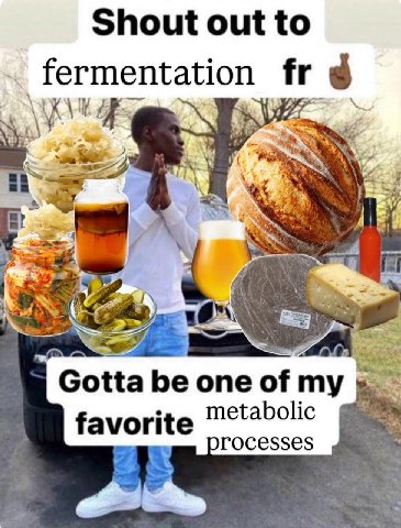 Shout out to fermentation К 4 Gotta be one of favorite metabolic