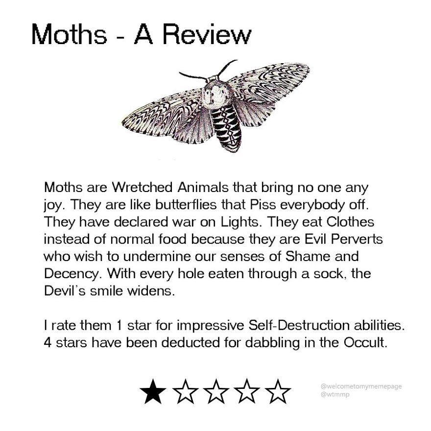 Moths А Review Moths are Wretched Animals that bring no one any joy. They are like butterflies that Piss everybody off. They have declared war on Lights. They eat Clothes instead of normal food becaus