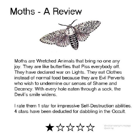 Moths А Review Moths are Wretched Animals that bring no one any joy. They are like butterflies that Piss everybody off. They have declared war on Lights. They eat Clothes instead of normal food becaus