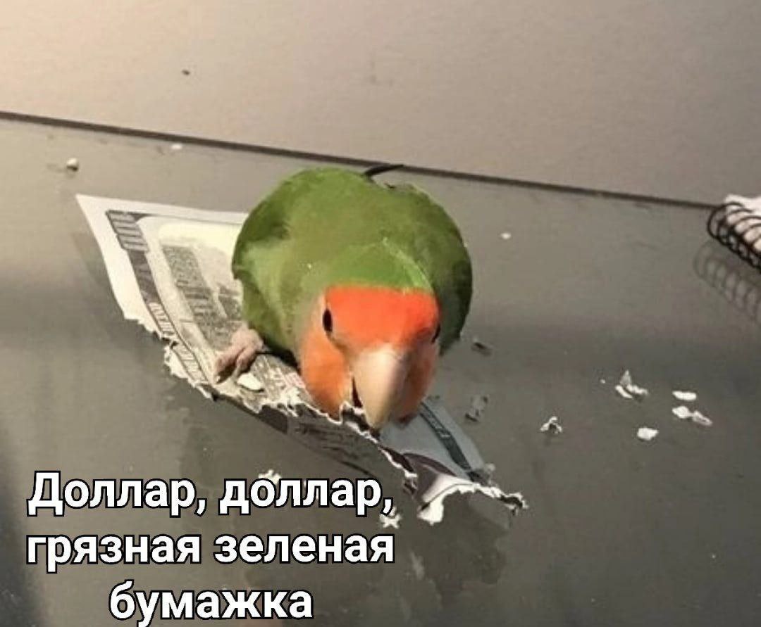 Доллар, дбллар, грязная зеленая бумажка