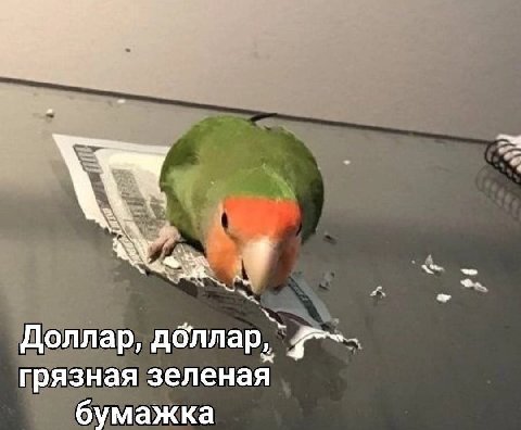 Доллар, дбллар, грязная зеленая бумажка