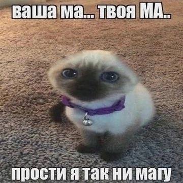 ваша твоя прости магу
