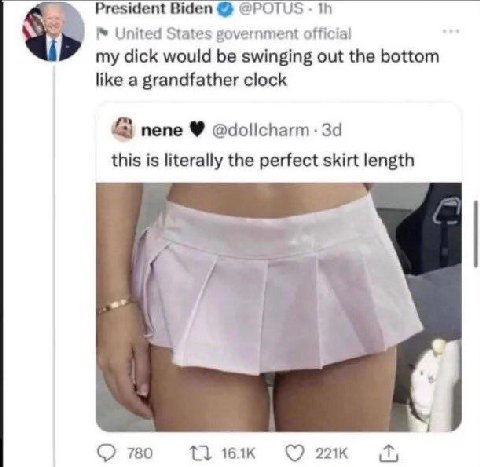 President Biden @POTUS United States government official my dick would be swinging out the bottom like a grandfather clock пепе @dollcharm this is literally the perfect skirt length 780