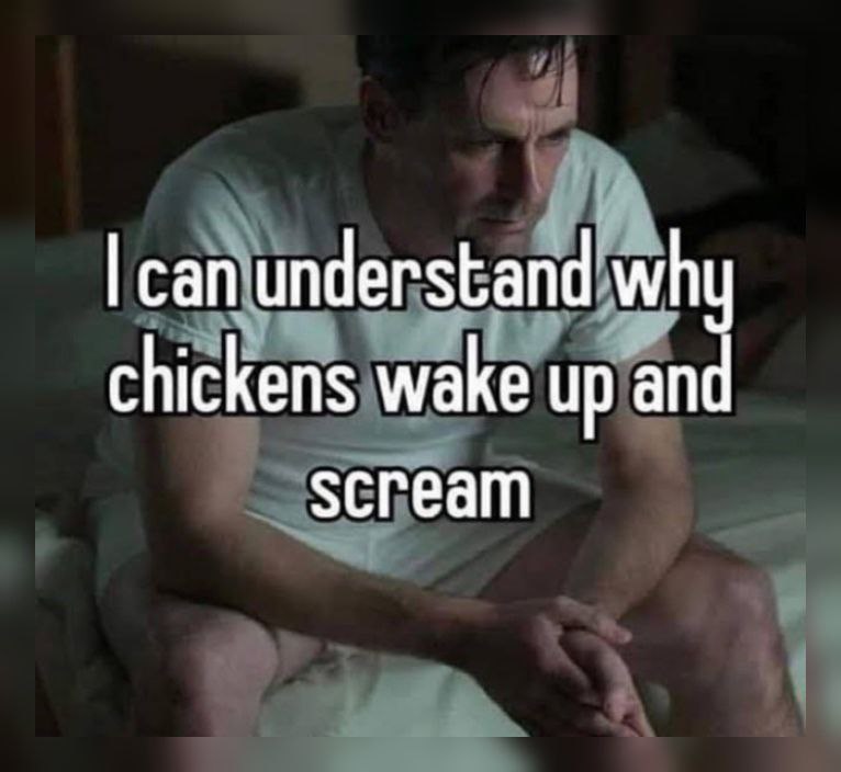 can understand why chickens wake up and scream