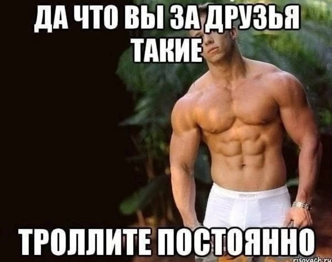 ДАЧТО ВЫ ЗА ДРУЗЬЯ ТРОЛЛИТЕ ПОСТОЯННО.