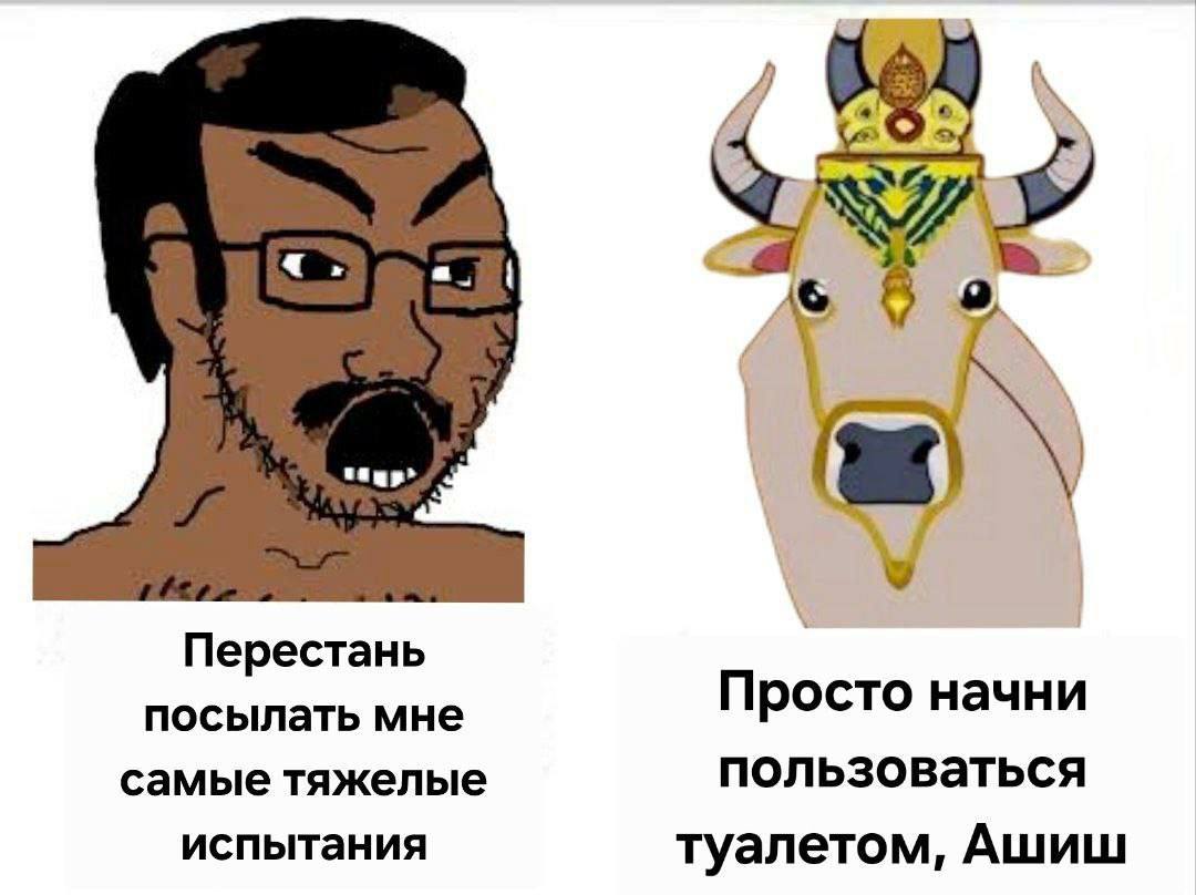 4 Перестань посылать мне Просто начни самые тяжелые пользоваться испытания туалетом, Ашиш