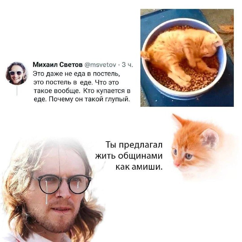 Михаил Светов @msvetov 3 Это даже не еда в постель, это постель в еде. Что это такое вообще. Кто купаетсяв еде. Почему он такой глупый. Ты предлагал жить общинами как амиши. и 1:2. i
