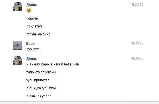 Денис короче прилетел голубь на окно Вова 16: 22.51 бум бум 15:33:58 Денис и я сним короче начил бозарить ТИПО КТО ПО ЖИЗНИ хули прилетел аон сука гули гули я ево как уебал