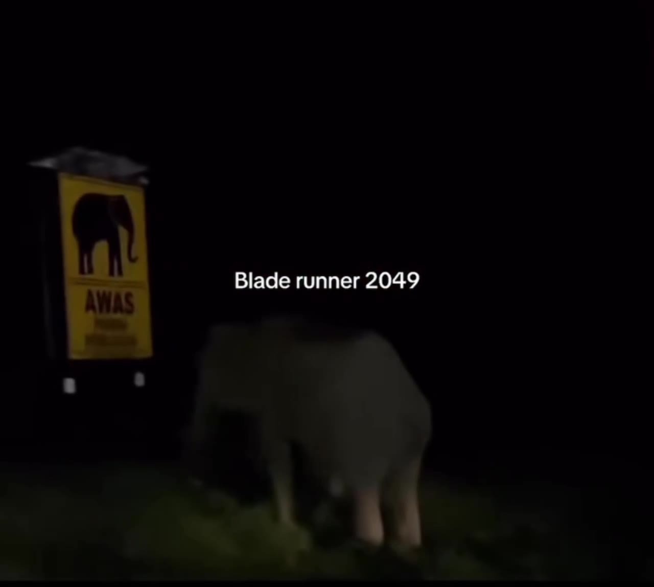 f Blade runner 2049