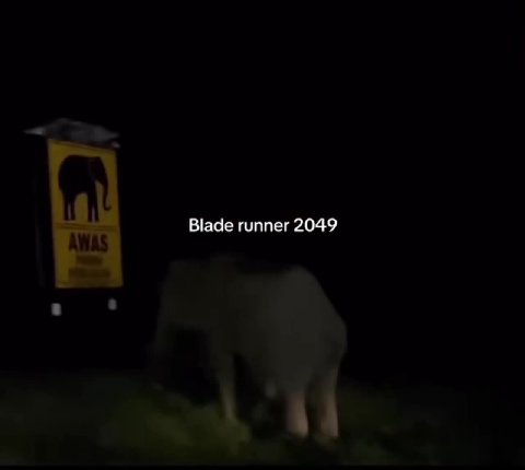f Blade runner 2049
