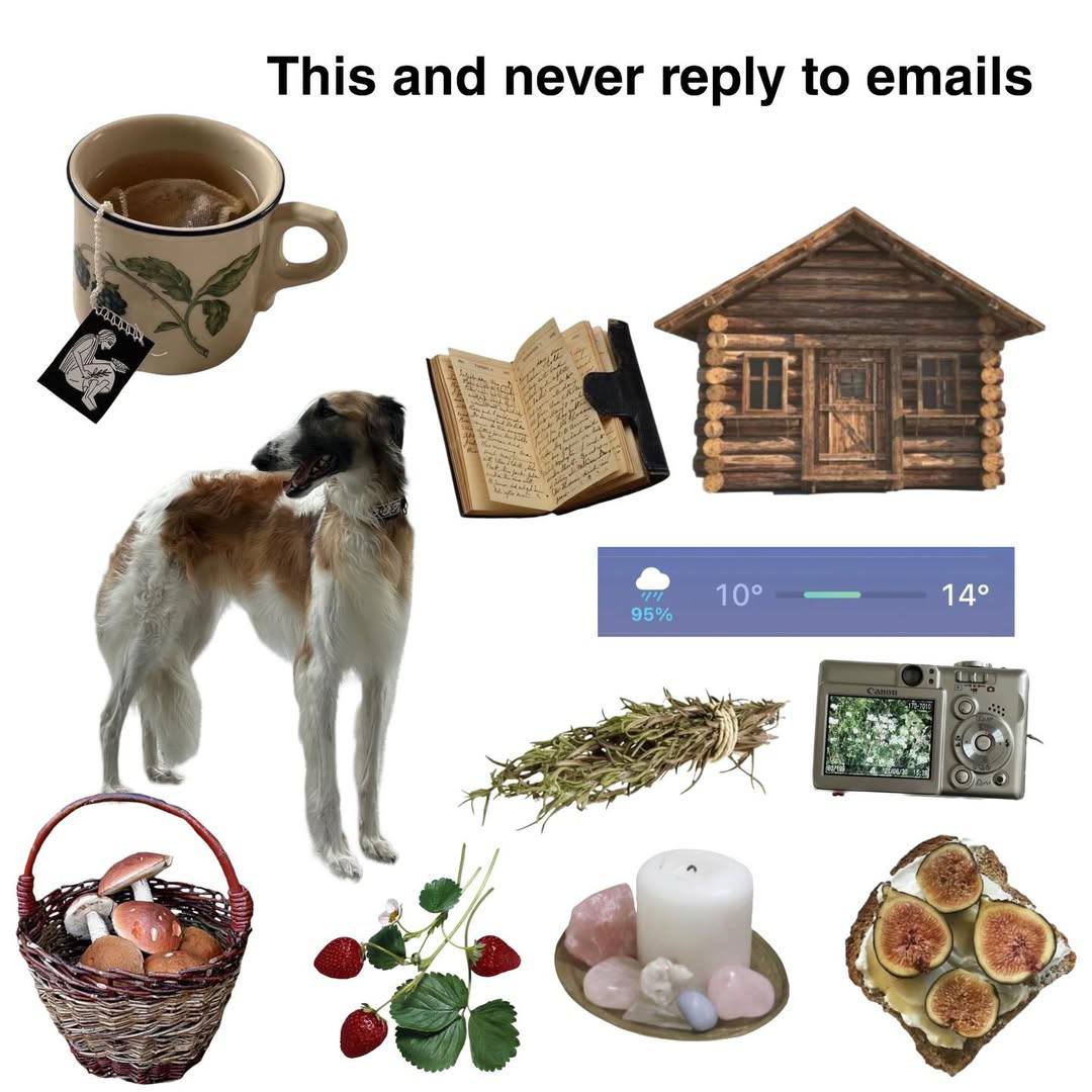 This and never reply to emails 14° hey