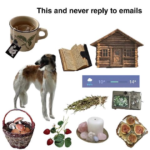 This and never reply to emails 14° hey