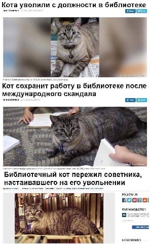 Кота уволили с должности в библиотеке RICK! HARRIS 4 Settlement Кот сохранит работу в библиотеке после международного скандала RICKI HARRIS 7% Библиотечный кот пережил советника, настаивавшего на его 