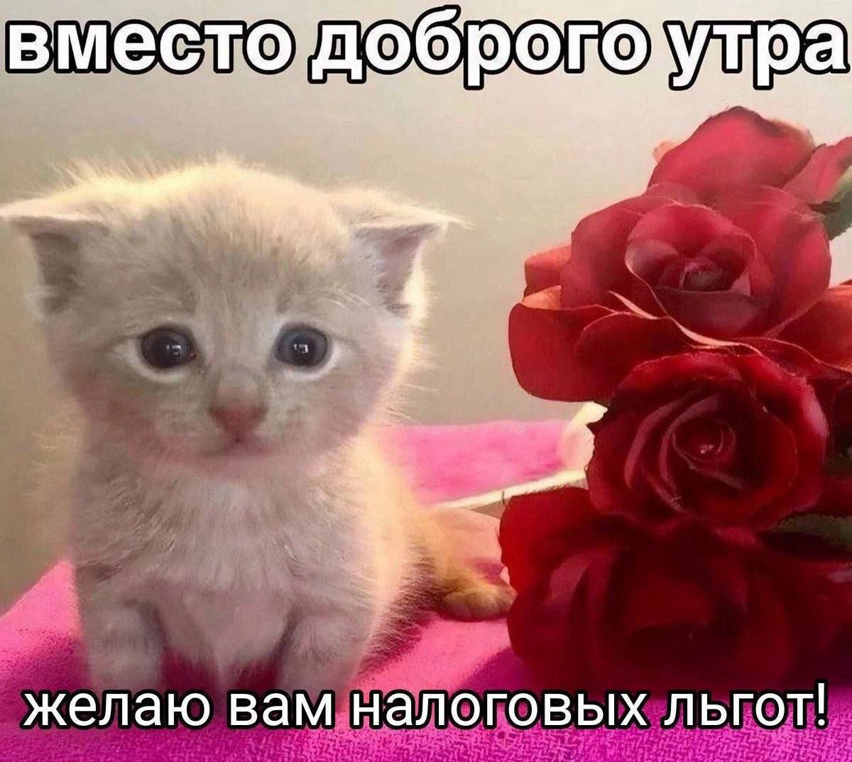 желаю вам налоговых льгот!