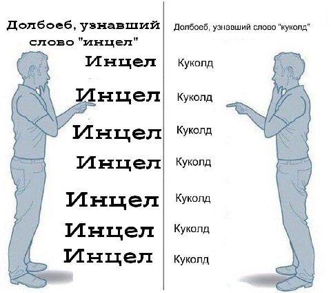 Долбоеб, узнавший Долбоеб, узнавший слово “куколд” слово "инцел" Инцел Куколд Инцел Куколд Инцел Куколд Инцел Куколд Куколд Инцел Инцел Куколд Инцел Куколд
