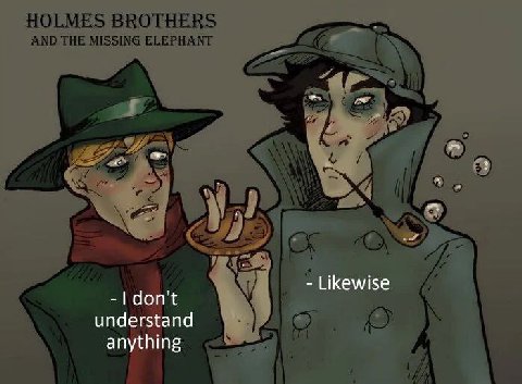 HOLMES BROTHERS AND THE MISSING ELEPHANT 3) understand anything A,
