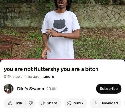 you are not fluttershy you are a bitch views ago Swamp Share Remix Download