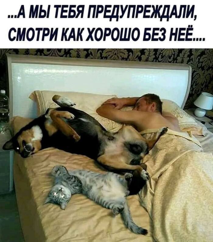 „А МЫ ТЕБЯ ПРЕДУПРЕЖДАЛИ, СМОТРИ КАК ХОРОШО БЕЗ НЕЁ... 55а