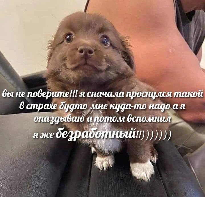 вы не поверите!!! я сначала проснулся такой 6 страхе дудто мне куда-то надо опаздываю апотом я же