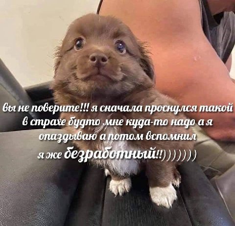 вы не поверите!!! я сначала проснулся такой 6 страхе дудто мне куда-то надо опаздываю апотом я же