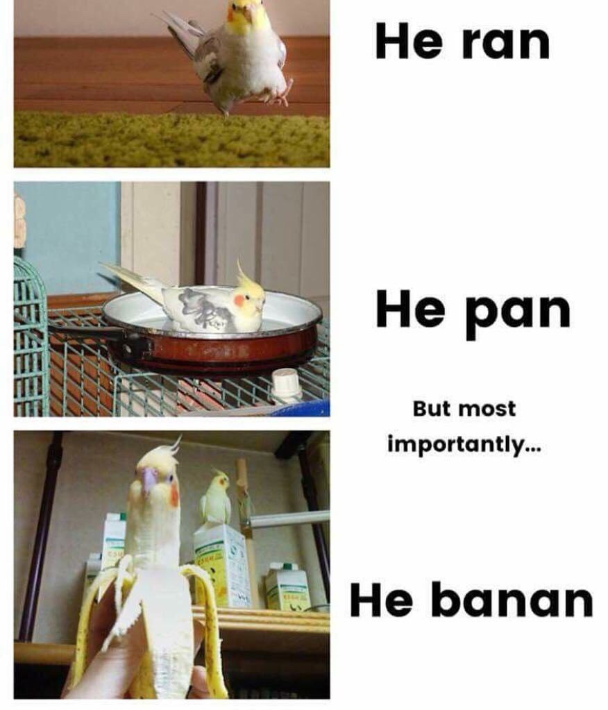 Не гап i Не рап 8 But most importantly... He banan
