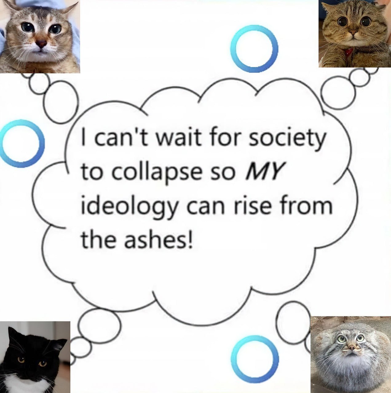 can't wait for society to collapse so MY ideology can rise from the ashes!