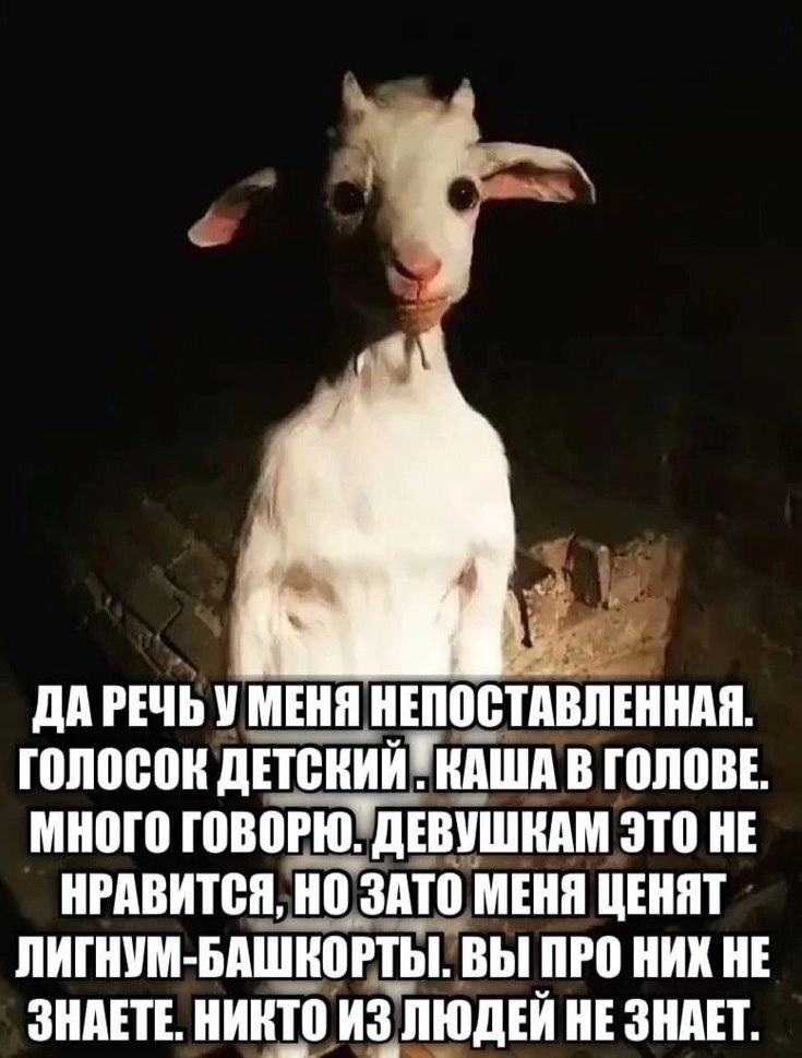 ДАРЕЧЬ У МЕНЯ НЕПОСТАВЛЕННАЯ. ГОЛОСОК ДЕТСКИЙ КАША В ГОЛОВЕ МНОГО ГОВОРЮ: ДЕВУШКАМ ЭТО HE НРАВИТСЯ, НО ЗАТО МЕНЯ ЦЕНЯТ ЛИГНУМ-БАШКОРТЫ. ВЫ ПРО НИХ HE ЗНАЕТЕ. НИКТО ИЗ ЛЮДЕЙ HE ЗНАЕТ.