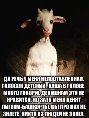 ДАРЕЧЬ У МЕНЯ НЕПОСТАВЛЕННАЯ. ГОЛОСОК ДЕТСКИЙ КАША В ГОЛОВЕ МНОГО ГОВОРЮ: ДЕВУШКАМ ЭТО HE НРАВИТСЯ, НО ЗАТО МЕНЯ ЦЕНЯТ ЛИГНУМ-БАШКОРТЫ. ВЫ ПРО НИХ HE ЗНАЕТЕ. НИКТО ИЗ ЛЮДЕЙ HE ЗНАЕТ.