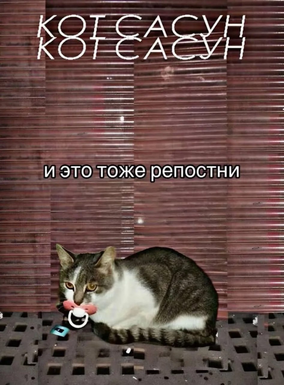 и это тоже репостни
