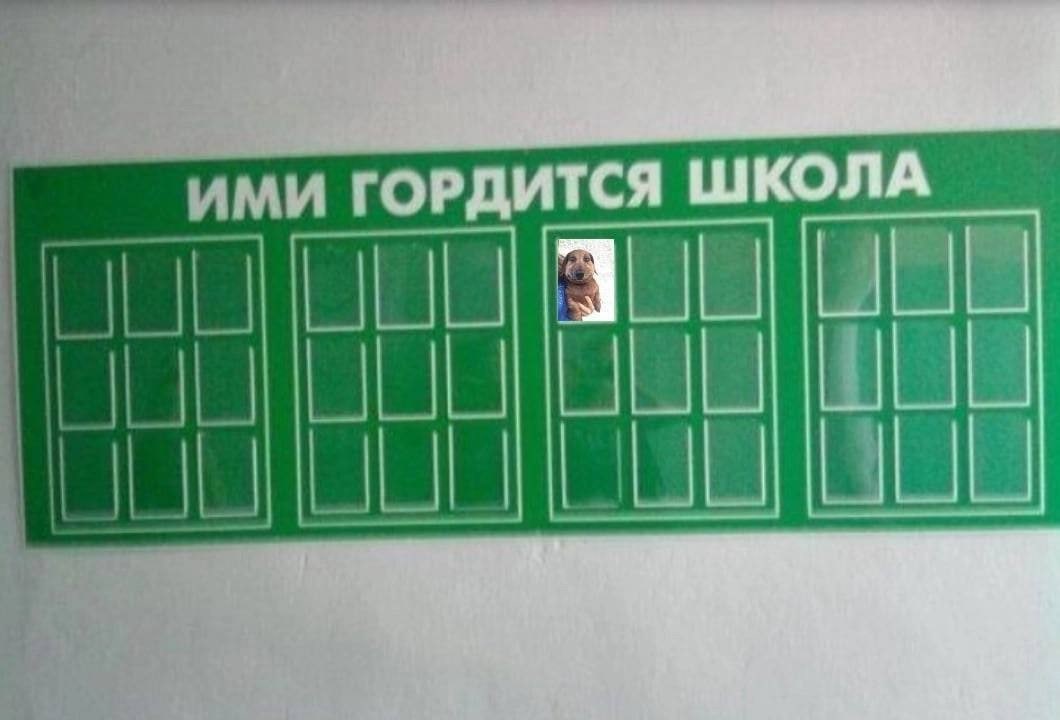 _ИМИ ГОРДИТСЯ ШКОЛА