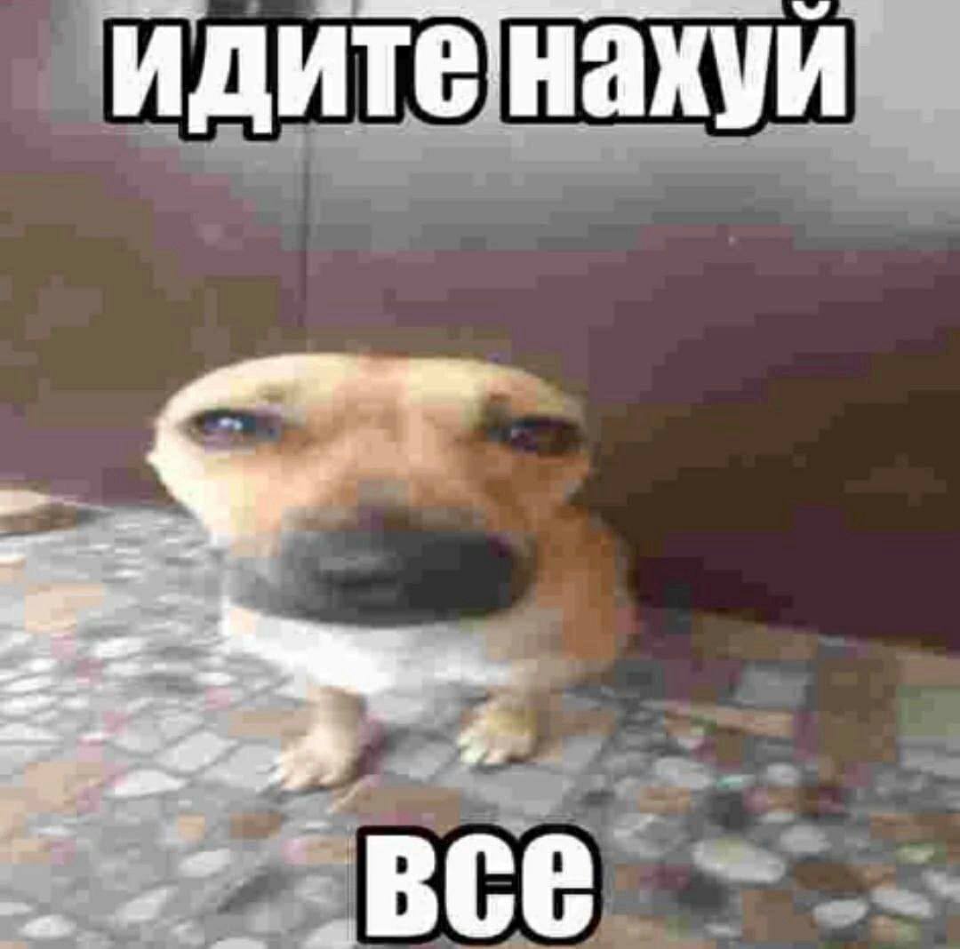 все