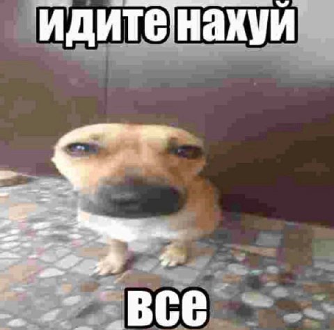 все