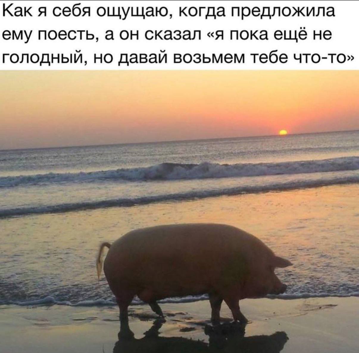 Как я себя ощущаю, когда предложила ему поесть, а он сказал «я пока ещё не голодный, но давай возьмем тебе что-то»