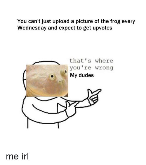 You can't just upload a picture of the frog every Wednesday and expect to get upvotes that's where you're wrong My dudes me irl