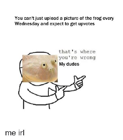 You can't just upload a picture of the frog every Wednesday and expect to get upvotes that's where you're wrong My dudes me irl