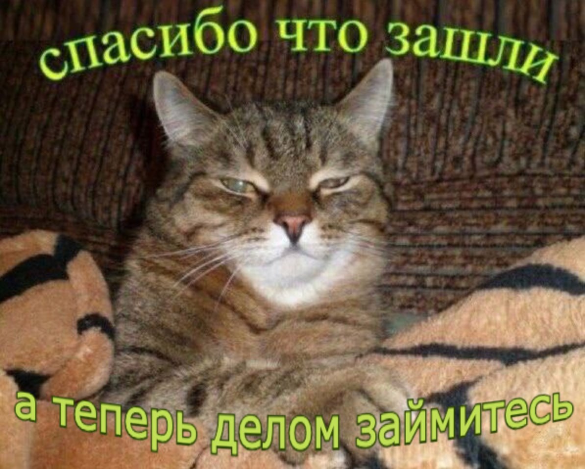 я сласибо что зашлу, к а теперь делом