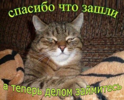 я сласибо что зашлу, к а теперь делом