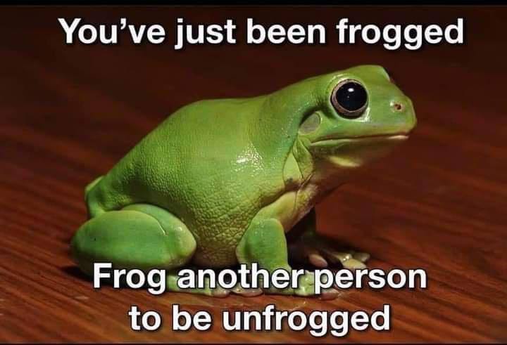 just been frogged Frog to be unfrogged