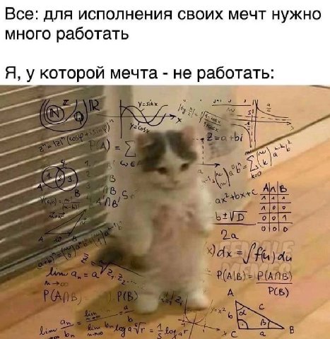 Все: для исполнения своих мечт нужно много работать Я, у которой мечта не работать: