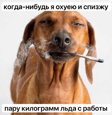 когда-нибудь я охуею и спизжу пару килограмм льда с работы