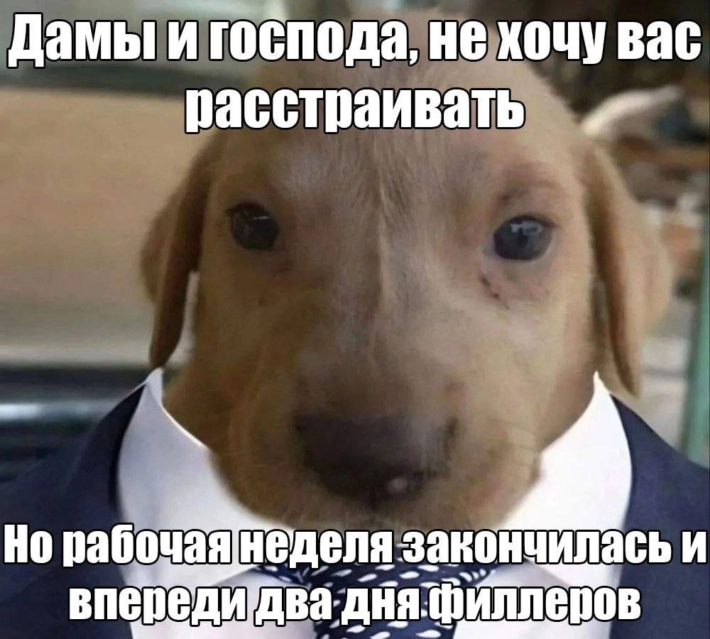 Дамы и господа, не хочу вас расстраивать рабочая неделя закончилась И впер